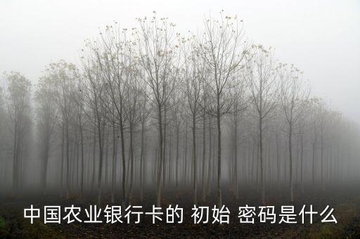 新信用卡初始密碼是多少啊,工商信用卡初始密碼是什么