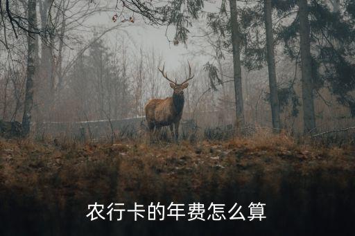 農(nóng)業(yè)銀行年卡費多少