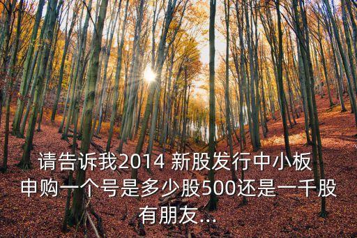 請告訴我2014 新股發(fā)行中小板 申購一個(gè)號是多少股500還是一千股有朋友...