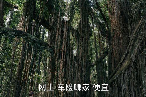 網(wǎng)上買買車險(xiǎn)便宜多少,網(wǎng)上自己怎么買車險(xiǎn)便宜