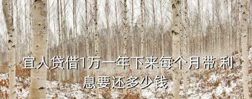  宜人貸借1萬一年下來每個月帶 利息要還多少錢