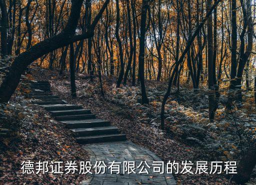  德邦證券股份有限公司的發(fā)展歷程