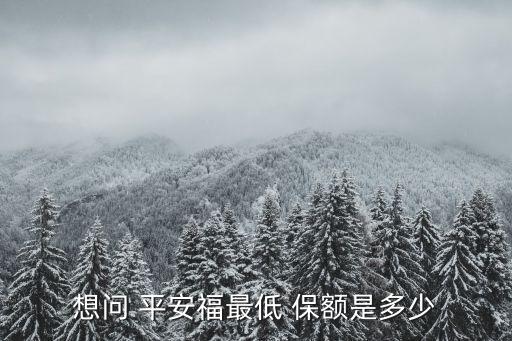 想問 平安福最低 保額是多少