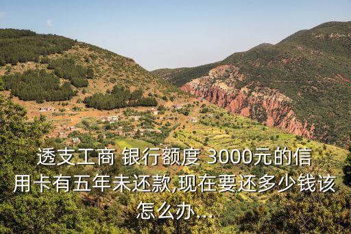 透支工商 銀行額度 3000元的信用卡有五年未還款,現(xiàn)在要還多少錢該怎么辦...
