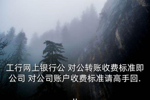 國際對公匯款手續(xù)費多少錢,中國銀行國際匯款手續(xù)費標準