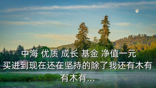  中海 優(yōu)質(zhì) 成長 基金 凈值一元買進(jìn)到現(xiàn)在還在堅(jiān)持的除了我還有木有有木有...