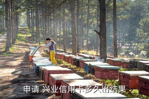 申請(qǐng) 興業(yè)信用卡多久出結(jié)果