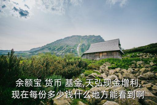 余額寶 貨幣 基金,天弘現(xiàn)金增利,現(xiàn)在每份多少錢什么地方能看到啊