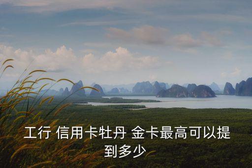  工行 信用卡牡丹 金卡最高可以提到多少