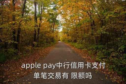 招行apple pay限額多少,招行華為pay限額
