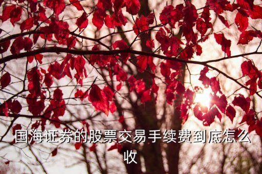 國海傭金多少,國海開戶傭金
