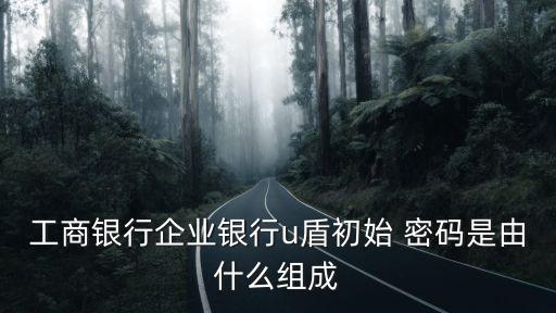 工商銀行企業(yè)銀行u盾初始 密碼是由什么組成