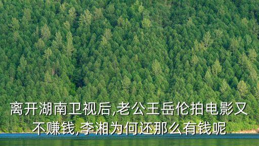 離開湖南衛(wèi)視后,老公王岳倫拍電影又不賺錢,李湘為何還那么有錢呢