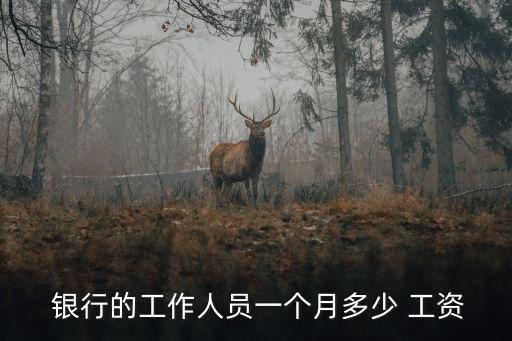 江陰銀行保安工資多少,江陰農(nóng)商銀行編制員工工資