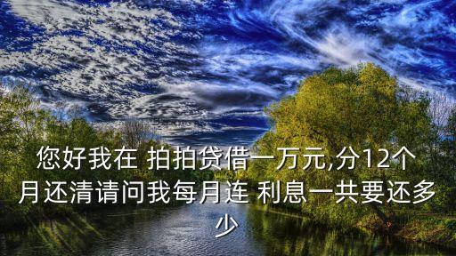 您好我在 拍拍貸借一萬(wàn)元,分12個(gè)月還清請(qǐng)問(wèn)我每月連 利息一共要還多少