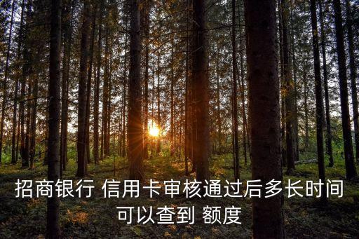 招商銀行 信用卡審核通過(guò)后多長(zhǎng)時(shí)間可以查到 額度