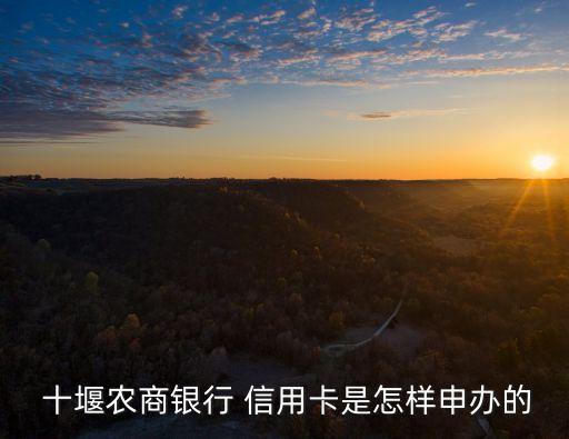 十堰養(yǎng)信用卡多少錢,養(yǎng)一張信用卡一年要多少錢