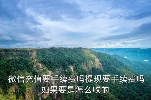  微信充值要手續(xù)費嗎提現(xiàn)要手續(xù)費嗎如果要是怎么收的