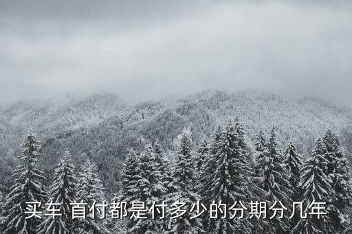 分期車最多首付多少時間,買房首付可以分期最多幾年