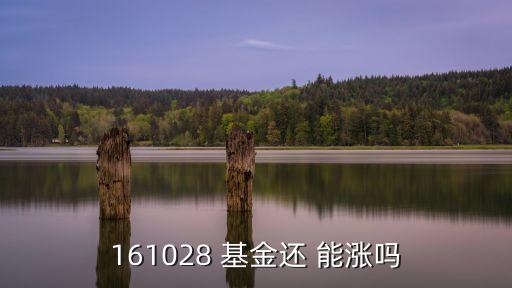 161028 基金還 能漲嗎