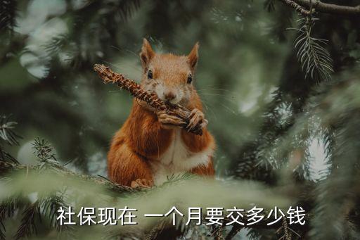 銀行社保標(biāo)準(zhǔn)是多少錢(qián)一個(gè)月多少錢(qián)一個(gè)月