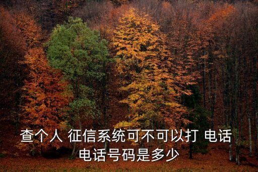 查個人 征信系統(tǒng)可不可以打 電話 電話號碼是多少