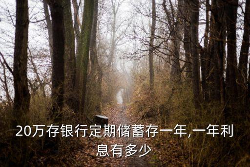 20萬存銀行定期儲蓄存一年,一年利息有多少