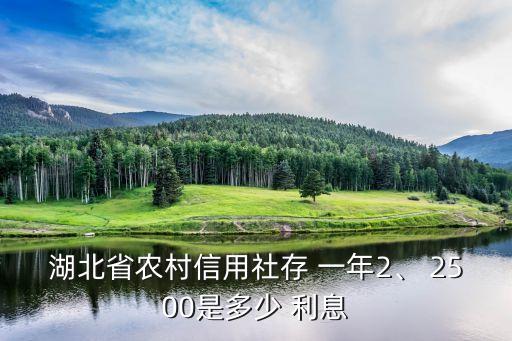 湖北省農(nóng)村信用社存 一年2、 2500是多少 利息