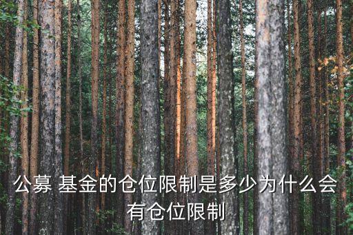 公募 基金的倉位限制是多少為什么會(huì)有倉位限制