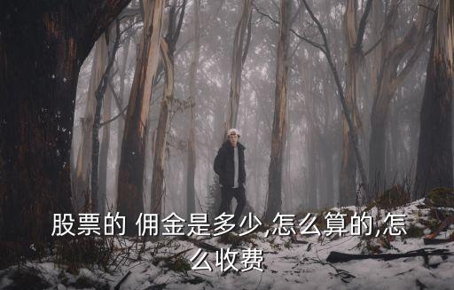 股票傭金是多少,十大證券公司哪個傭金最低