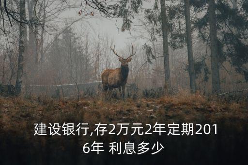 建設(shè)銀行兩萬(wàn)元存兩年有多少利息是多少