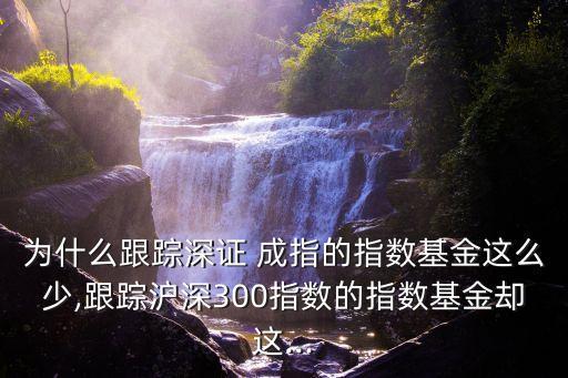 為什么跟蹤深證 成指的指數(shù)基金這么少,跟蹤滬深300指數(shù)的指數(shù)基金卻這...