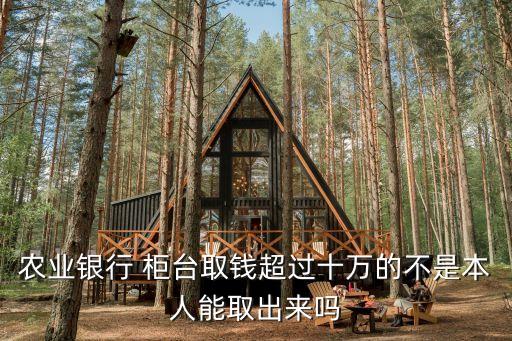 農(nóng)業(yè)銀行 柜臺取錢超過十萬的不是本人能取出來嗎