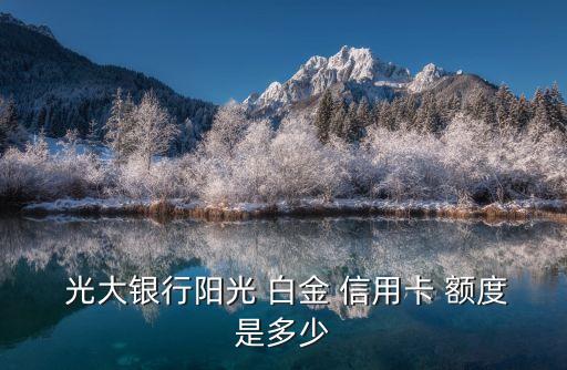 光大白金信用卡額度一般多少錢,光大商旅白金信用卡最高額度