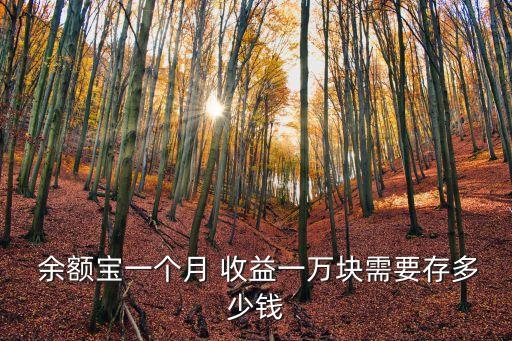 余額寶里存入多少有收益,2500存入余額寶每天多少