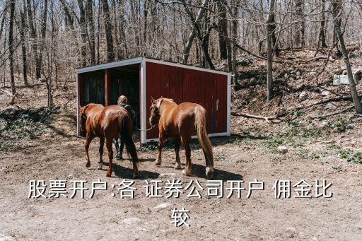 股票開戶:各 證券公司開戶 傭金比較