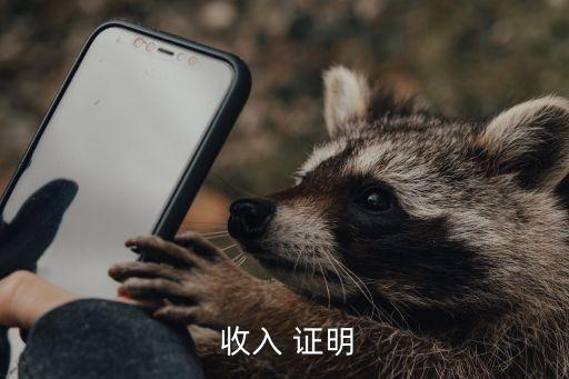  收入 證明