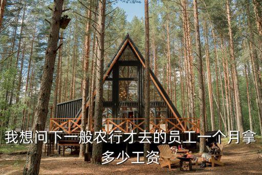 我想問下一般農(nóng)行才去的員工一個(gè)月拿多少工資