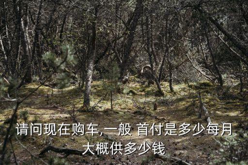 請問現(xiàn)在購車,一般 首付是多少每月大概供多少錢