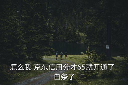 多少分可以開京東白條,京東多少分可以開會員
