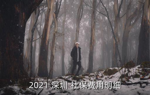 2021 深圳 社保費用明細