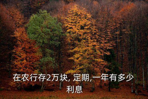 銀行兩萬定期多少利息是多少,兩萬存定期哪個銀行利息高