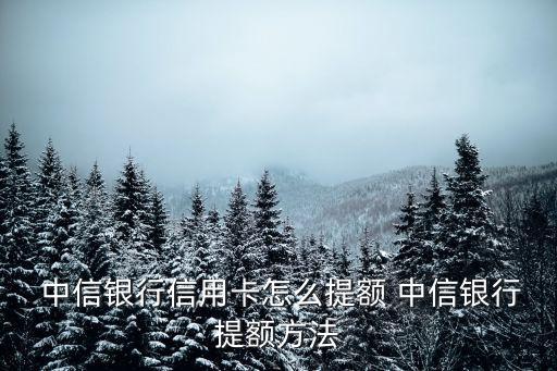 中信提額度100%是多少錢(qián)