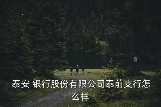  泰安 銀行股份有限公司泰前支行怎么樣