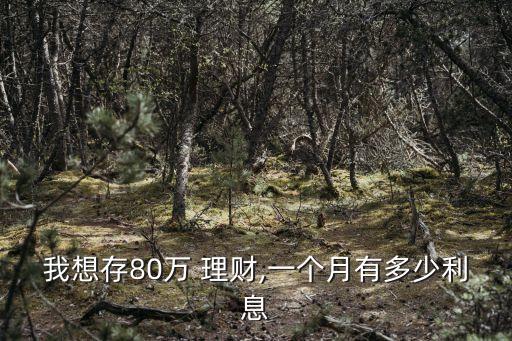 我想存80萬 理財(cái),一個(gè)月有多少利息