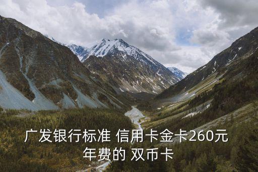 廣發(fā)銀行標(biāo)準(zhǔn) 信用卡金卡260元 年費(fèi)的 雙幣卡