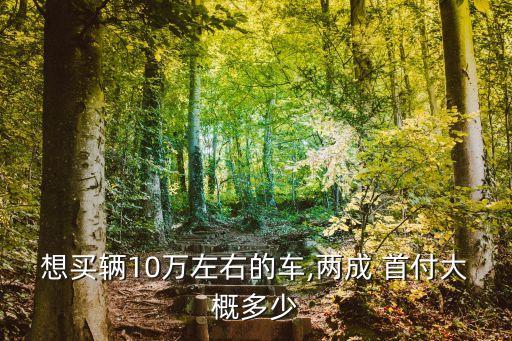 10多萬的車首付多少錢