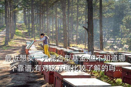 最近想買一只混合型基金,但不知道哪個靠譜,有對這方面比較了解的嗎...