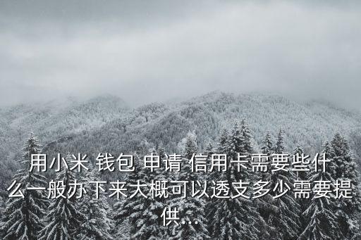 信用錢包申請(qǐng)信用卡額度是多少錢,羊小咩信用錢包app申請(qǐng)都有額度嗎