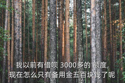 我以前有借唄 3000多的 額度,現在怎么只有備用金五百塊錢了呢